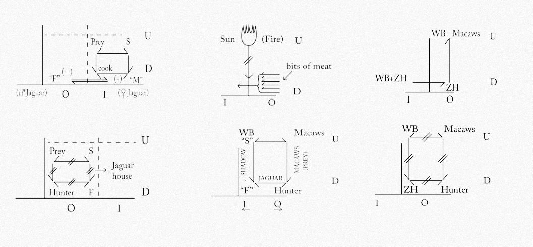 Diagramas de The Fire of the Jaguar de Terence Turner 1